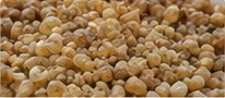 Sukari Small