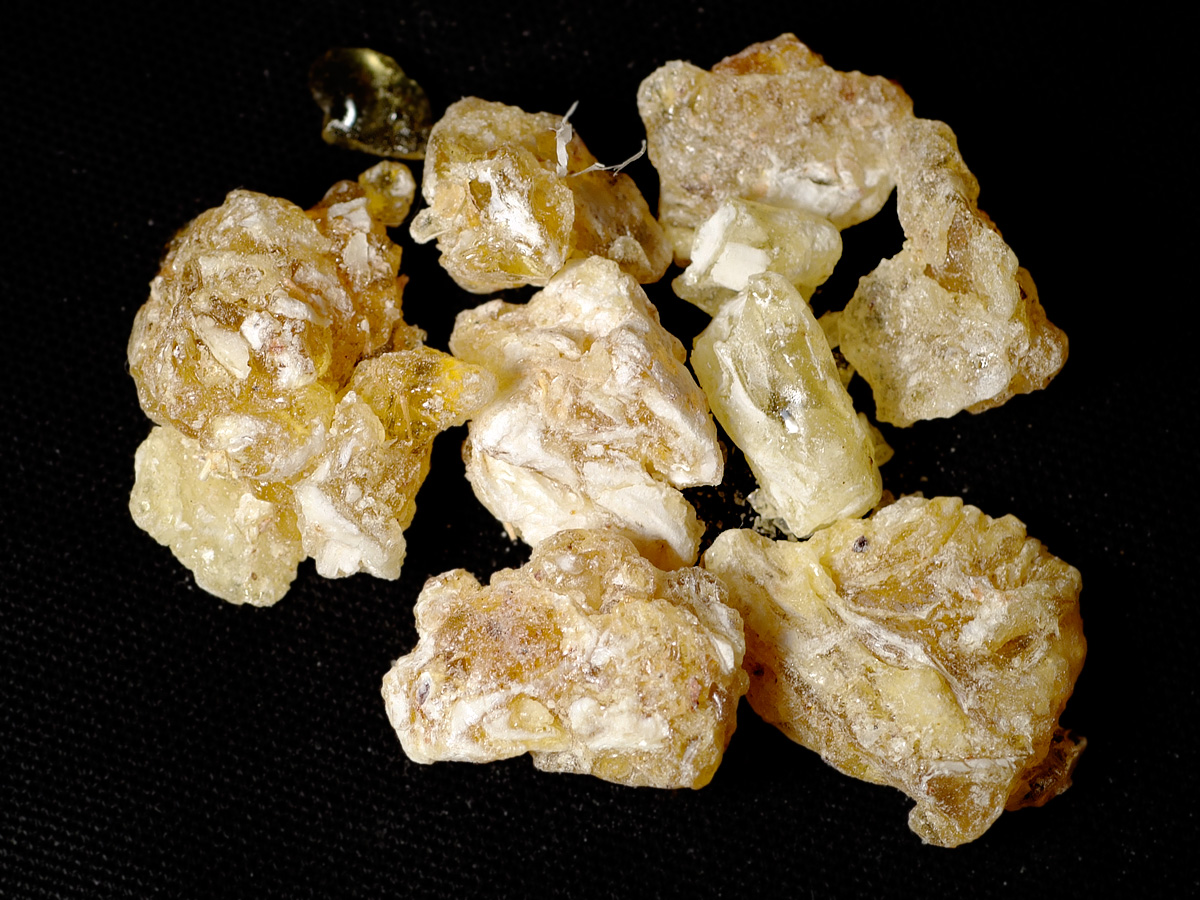 Natural frankincense resin